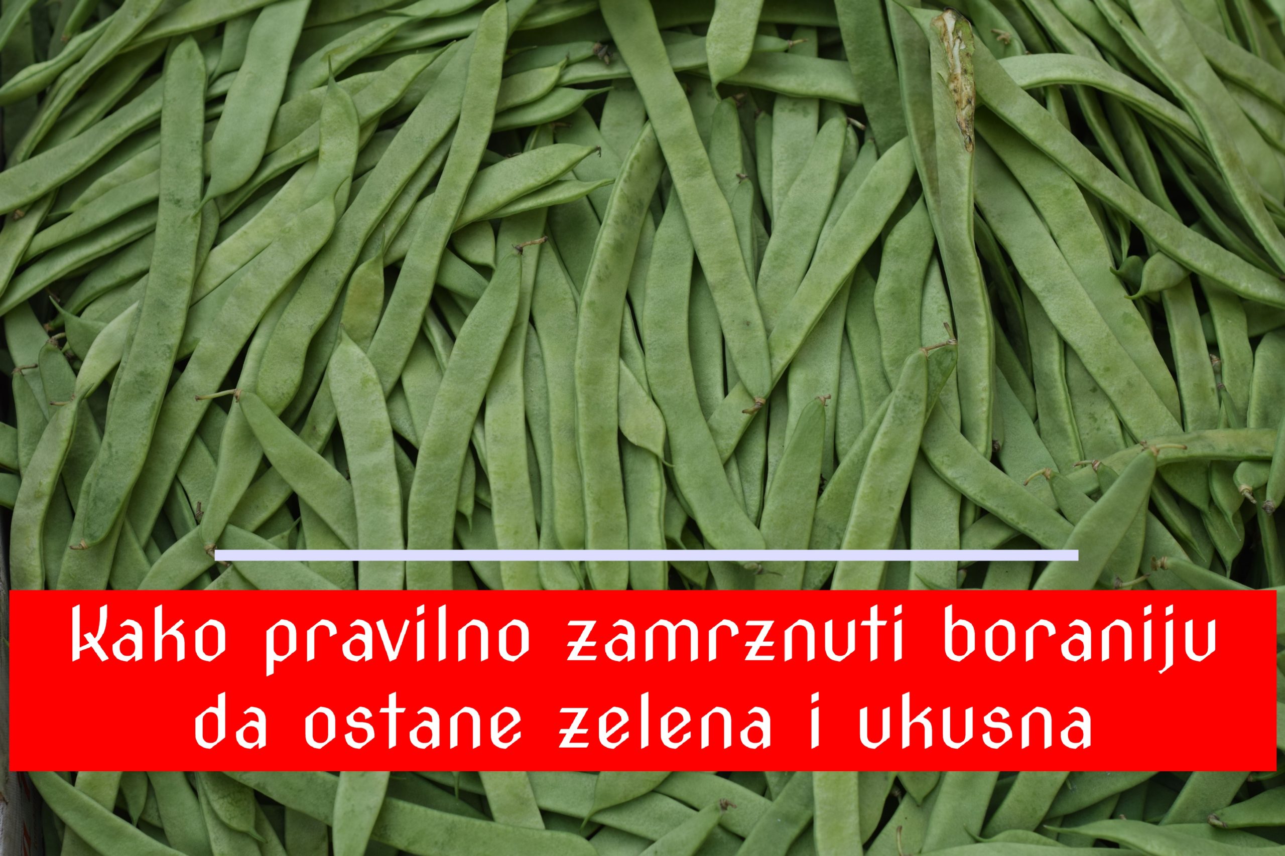 Kako pravilno zamrznuti boraniju da ostane zelena i ukusna