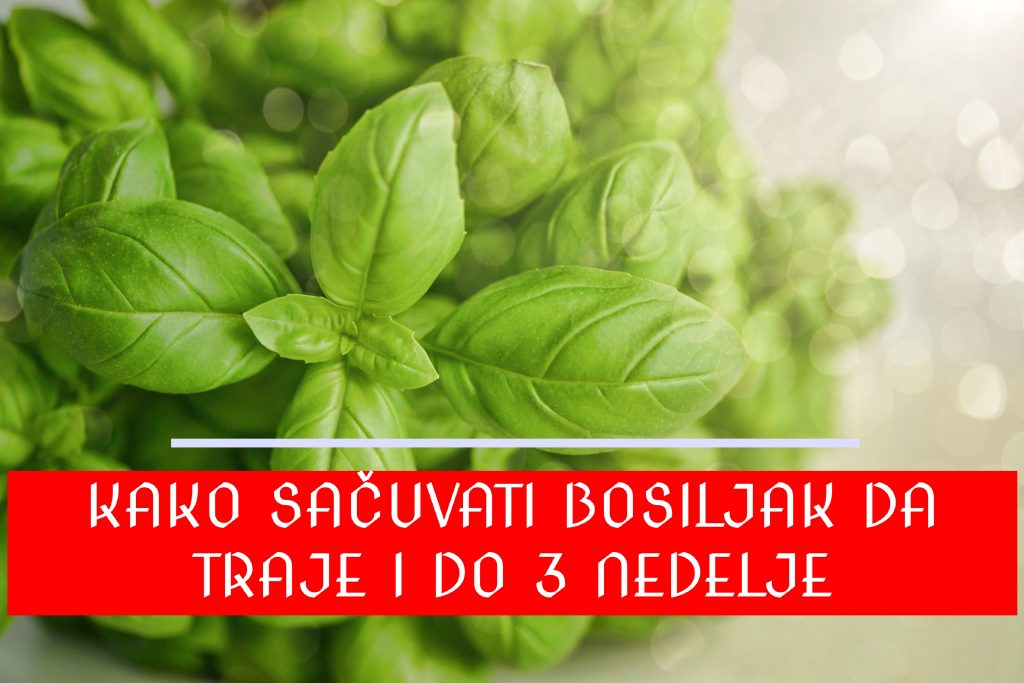 Kako sačuvati svež bosiljak da traje i do 3 nedelje