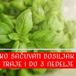 Kako sačuvati svež bosiljak da traje i do 3 nedelje