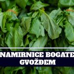 NAMIRNICE BOGATE GVOŽĐEM