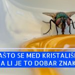 ZAŠTO SE MED KRISTALIŠE