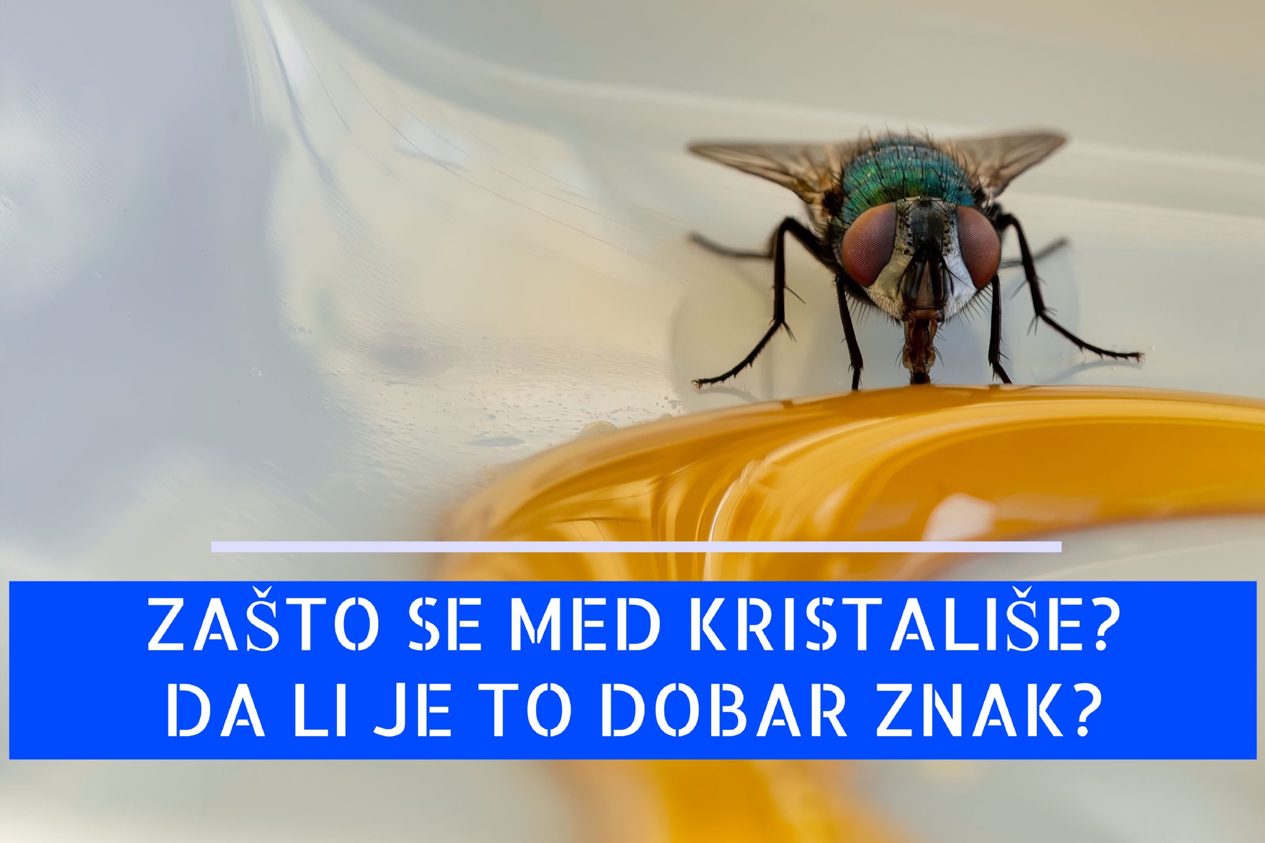 ZAŠTO SE MED KRISTALIŠE