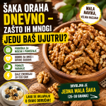 šaka oraha dnevno
